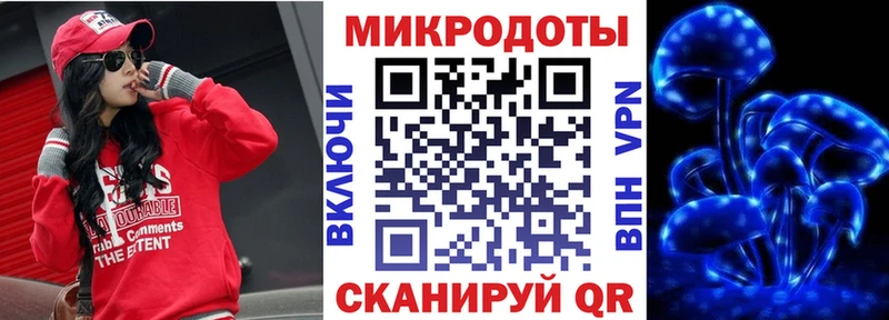 закладки  Ельня  Псилоцибиновые грибы GOLDEN TEACHER 